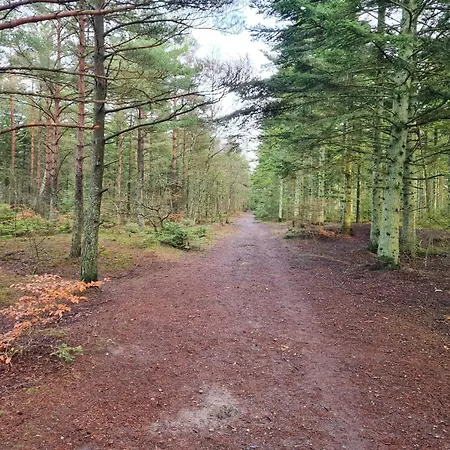 Prázdninový dům 4 Star In Ålbæk